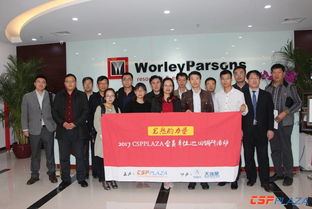 如何選擇海外技術(shù)咨詢服務(wù)？——來自參與7GW光熱項目的WorleyParsons經(jīng)驗分享
